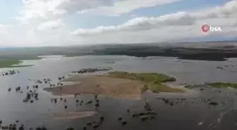 Bu ilçe taşıma suyla tarımı 5'e katladı