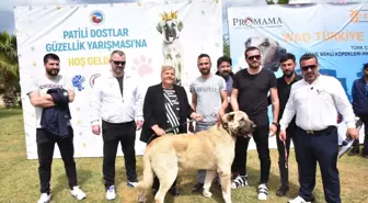 Ceyhan'da 'Patili Dostlar Güzellik Yarışması'