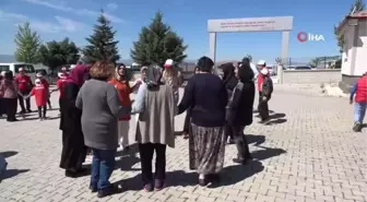 Elazığ'da 'Engelsiz Uçurtma Şenliği' renkli görüntülere sahne oldu