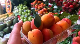 Kayısının kilosu 50 TL'den tezgahta