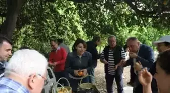 Samandağ Belediyesi'ne Türsab'dan Ziyaret