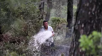 Pamukkale'de 1 günde 2 orman yangını