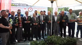 Samsun'da üreticilere 4 bin 400 aronya fidesi dağıtıldı