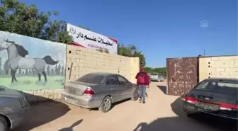 Libya'da safkan Arap atı mezadı