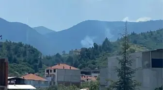 Manisa'da çıkan orman yangınında 1 hektar alan zarar gördü