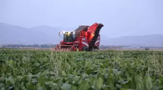 Sukkar Şeker'de bu sezon 80 bin ton üretim hedefleniyor