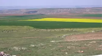 'Gaziantep'ten İzmir'e 5. tümenin İzinde' gezileri kapsamında Polatlı'ya geldiler