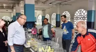 Yunusemre kuş pazarında çeşitler artıyor