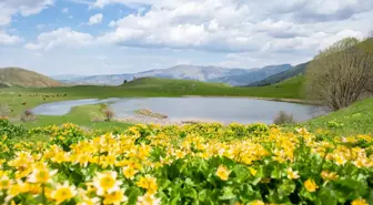 Erzurum'un ilçeleri ilkbahar güzelliğiyle fotoğraf tutkunlarını ağırlıyor