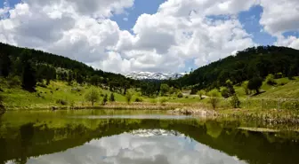 Murat Dağı ilkbaharın renklerine büründü