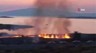 Aliağa'da sazlık alanda çıkan yangın söndürüldü