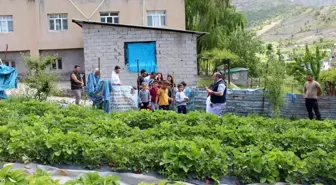 Şırnak'ta faaliyete giren projelerle ailelerin ekonomisine katkı sağlanıyor