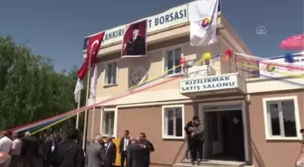 TOBB Başkanı Hisarcıklıoğlu, Çankırı'da konuştu