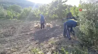 Akılalmaz olay: Renkli tapuyla kapora vurgunu... Başkasının arsasını satışa çıkararak onlarca kişiyi dolandırdı, gerçek icrayla ortaya çıktı