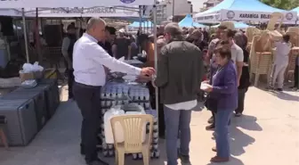 ÇANAKKALE - Jumbo karides avcıları bolluk beklentisiyle sezona başladı