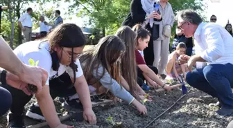 Lüleburgaz'da Atalık Tohumlar Toprakla Buluştu