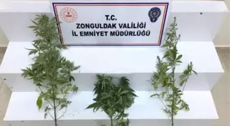 Zonguldak'ta uyuşturucu operasyonu: 1 şüpheli yakalandı