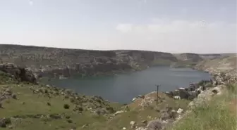 ŞANLIURFA - 'Karagül diyarı' Halfeti 'yeşil gül' ile de anılmak istiyor