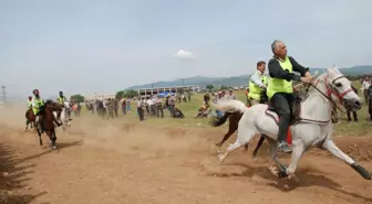 7 yıl aradan sonra Rahvan Atlar Torbalı'da yarışacak