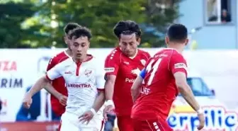 Spor Toto 1. Lig: Boluspor: 2 - Altınordu: 1