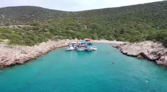 Bodrum'da Sualtı Sergisi Açıldı