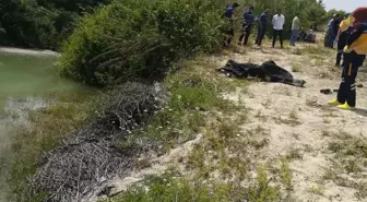 Baraj gölünde balık ağına takılan çiftçi ölü bulundu