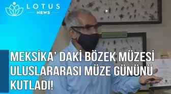 Video: Meksika'daki Böcek Müzesi, Uluslararası Müze Günü'nü Kutladı