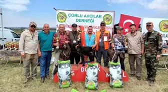 Çorlu'da köpek ırkları yarışması düzenlendi