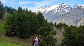 Kilometrelerce yürüdüler, tırmandılar ve doğal güzelliği fotoğrafladılar