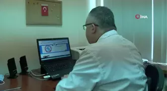 Ölümcül kene, doğru yöntemle bir an önce çıkartılmalı