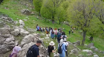 Doğaseverler Batman'daki ters laleleri görmek için Ziyaret Tepesi'ne tırmandı