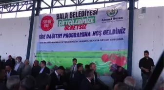 Bala Belediyesi 150 bin sebze fidesi dağıttı