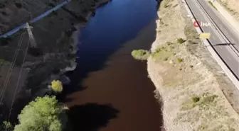 Torul Baraj Gölü'nde alg patlaması suyun rengini değiştirdi