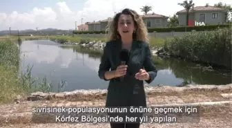 ZİHA'ların hedefinde sivrisinekler var