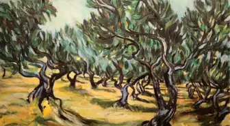 Van Gogh'un Zeytin Ağaçları yapıtı yeniden yorumlandı