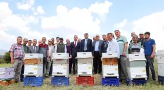 Emet'te arıcılık canlandırılıyor