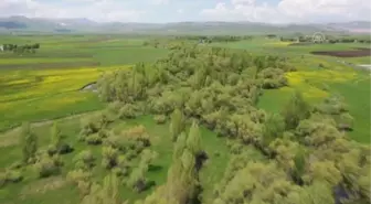 Sıcak havayı fırsat bilen vatandaşlar piknik alanlarını doldurdu