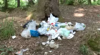 BELGRAD ORMANI'NDA PİKNİKÇİLERDEN GERİYE ÇÖPLER KALDI