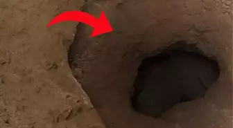 Dünyanın en ölümcül yılanı sıcaklara dayanamayıp yuvasından çıktı! Tüm zehrini ilk gördüğü kişiye akıttı