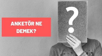 Anketör Ne Demek? Anketör ne iş yapar? TDK'ya Göre Anketör Sözlük Anlamı Nedir?
