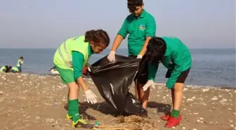 Mersin'de caretta carettaların üreme alanlarında temizlik