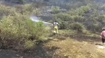 Ödemiş'te tarım arazisinde başlayan yangın zeytin ağaçlarına zarar verdi