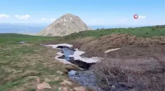 2 bin 884 rakımlı Sülbüs Dağı'na solo tırmandı