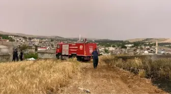 Gaziantep'te arpa ekili tarlada yangın