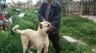 İki ailenin kavgasında vurulan oğul öldü, baba yaralı