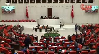 TBMM'de Hdp ve MHP Milletvekilleri Arasında Kadın Cinayetleri ve İstismar Tartışması