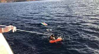 Bodrum'dan yüzerek Yunan adasına geçmeye çalışan 2 kaçak göçmeni, sahil güvenlik yakaladı