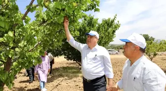 Yunusemre üreticiyi destekliyor, ekonomiye katkı sağlıyor