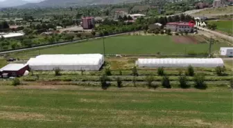 Bu lisede öğrenciler traktör sürüp tarım yapıyor