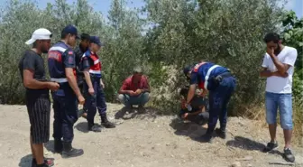 Oynarken sulama kanalına düşen Yakın boğuldu